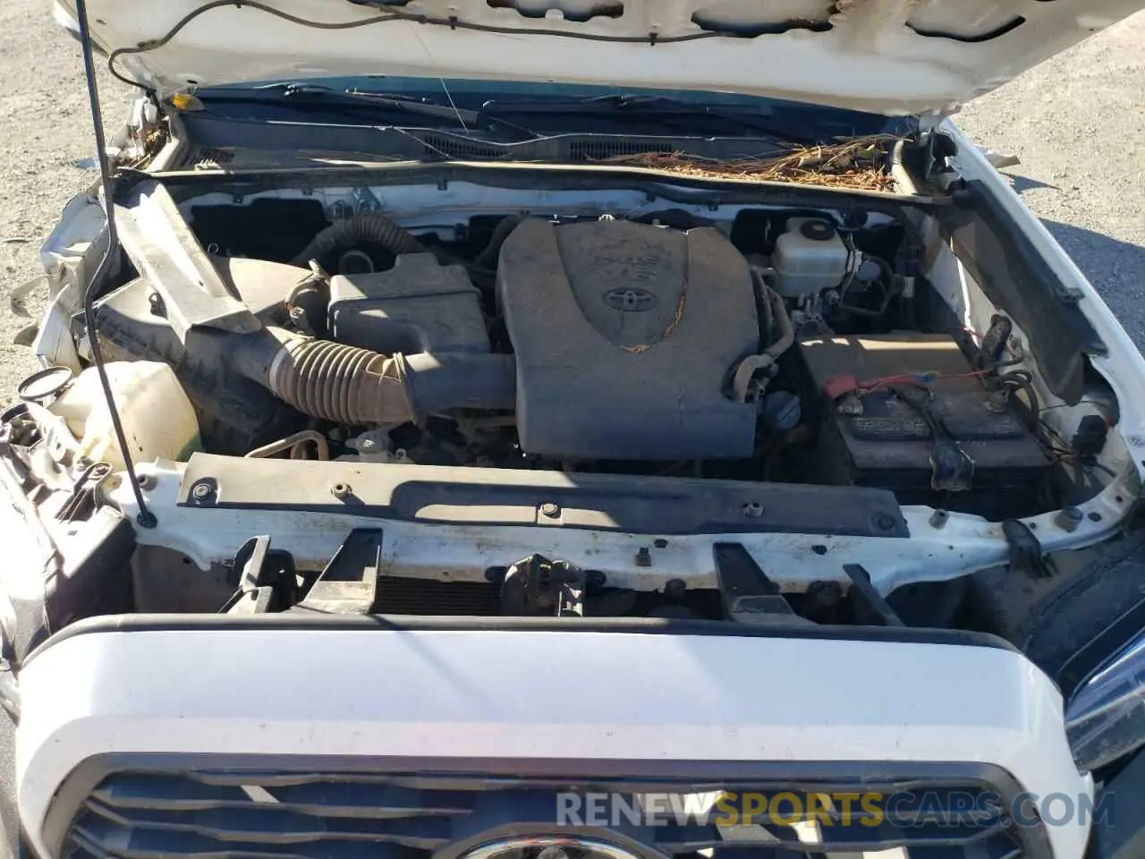 11 Photograph of a damaged car 3TMDZ5BN2LM083767 TOYOTA TACOMA 2020