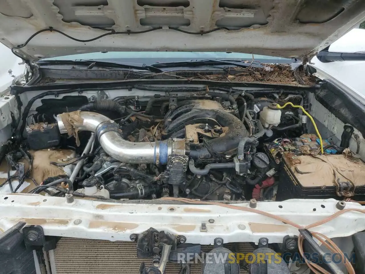 11 Photograph of a damaged car 5TFCZ5AN4LX216164 TOYOTA TACOMA 2020