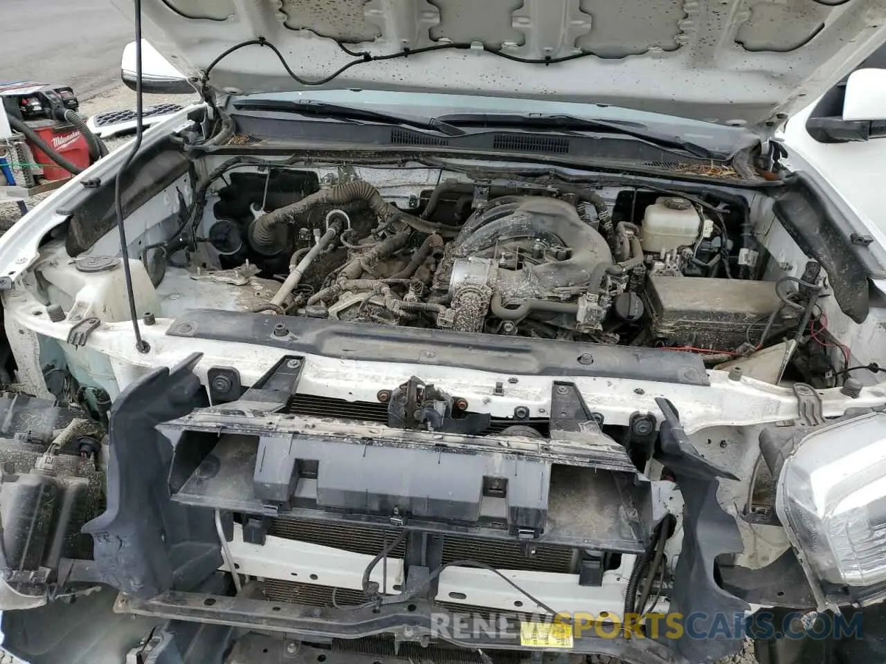 11 Photograph of a damaged car 3TMCZ5AN0MM387565 TOYOTA TACOMA 2021