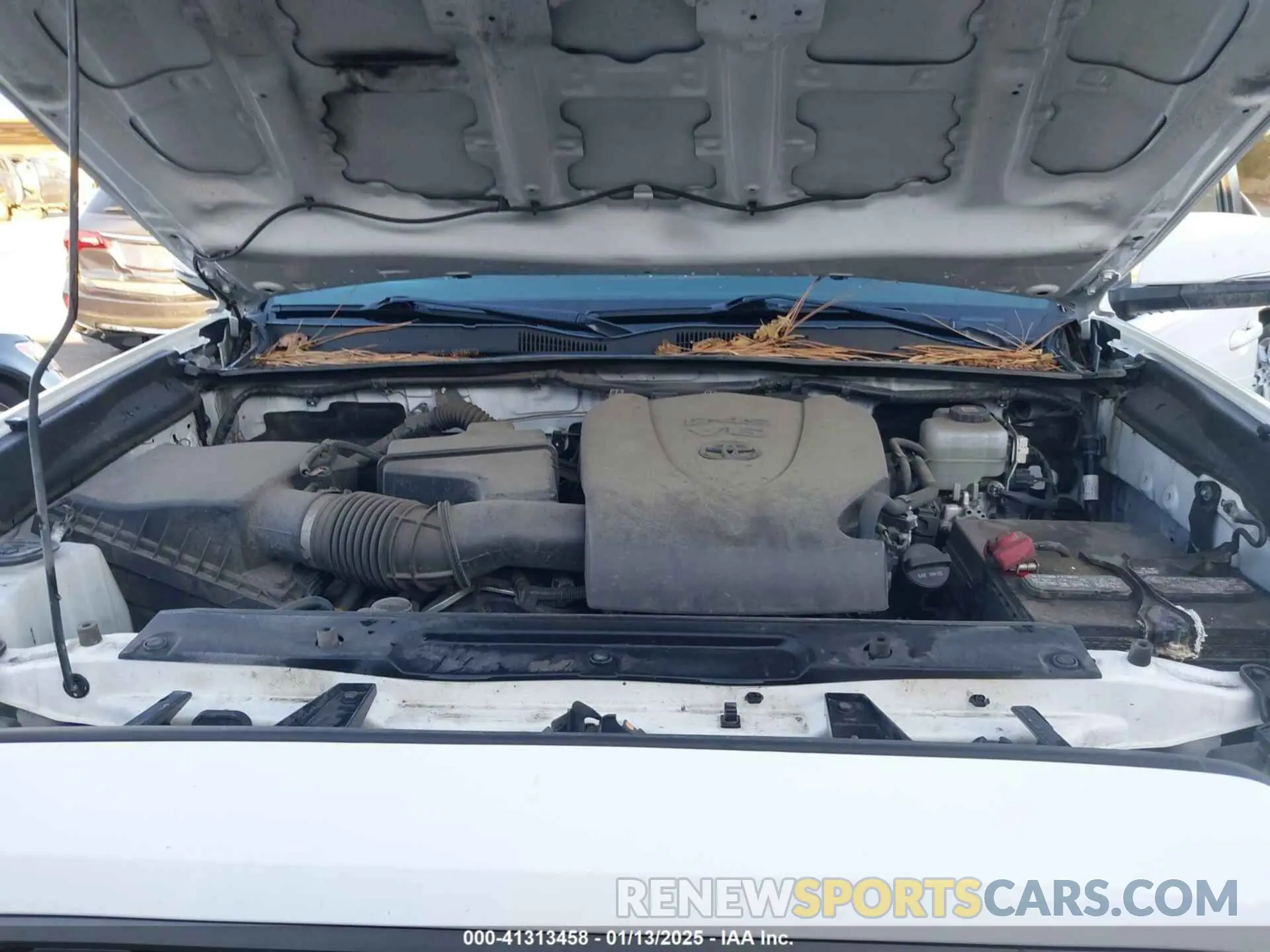 10 Photograph of a damaged car 3TMCZ5AN0MM390577 TOYOTA TACOMA 2021