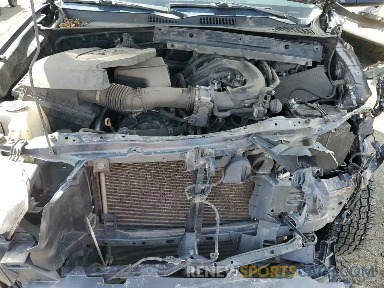11 Photograph of a damaged car 3TMCZ5AN2MM441271 TOYOTA TACOMA 2021