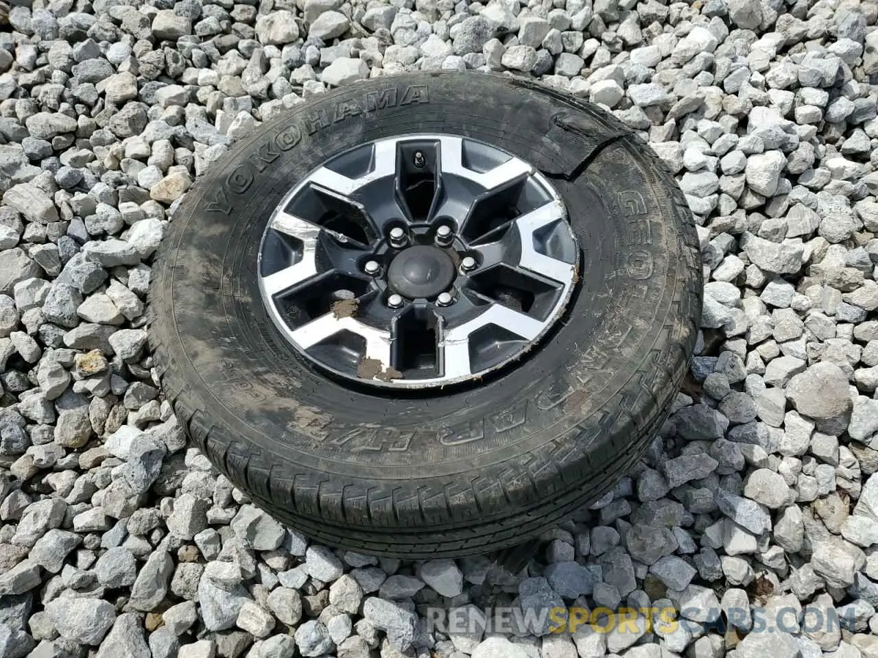 12 Photograph of a damaged car 3TMCZ5AN3MM370257 TOYOTA TACOMA 2021