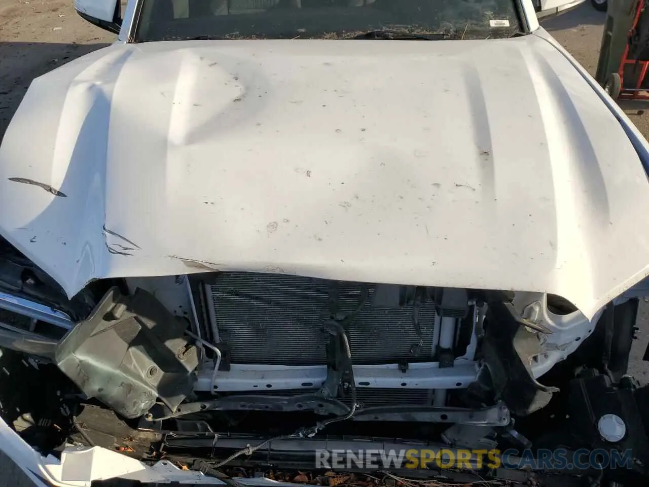 11 Photograph of a damaged car 3TMCZ5AN3MM414905 TOYOTA TACOMA 2021