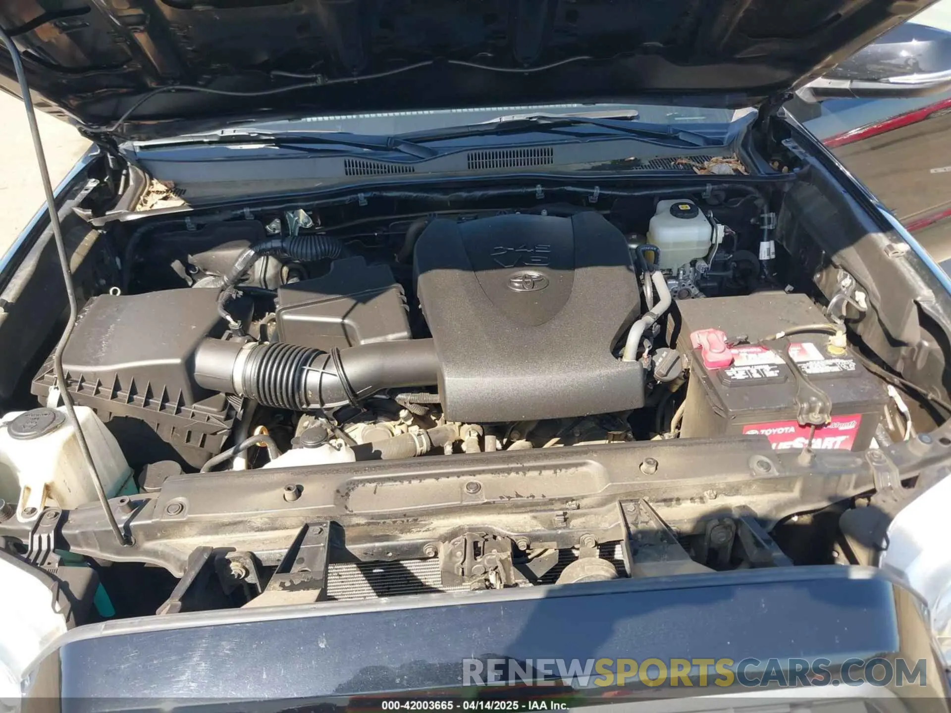 10 Photograph of a damaged car 3TMCZ5AN3MM421868 TOYOTA TACOMA 2021