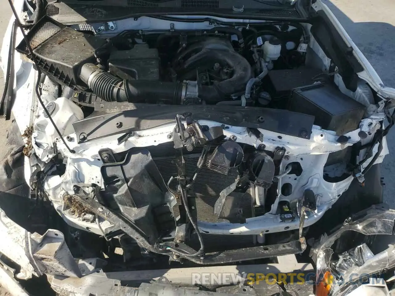 11 Photograph of a damaged car 3TMCZ5AN5MM412637 TOYOTA TACOMA 2021