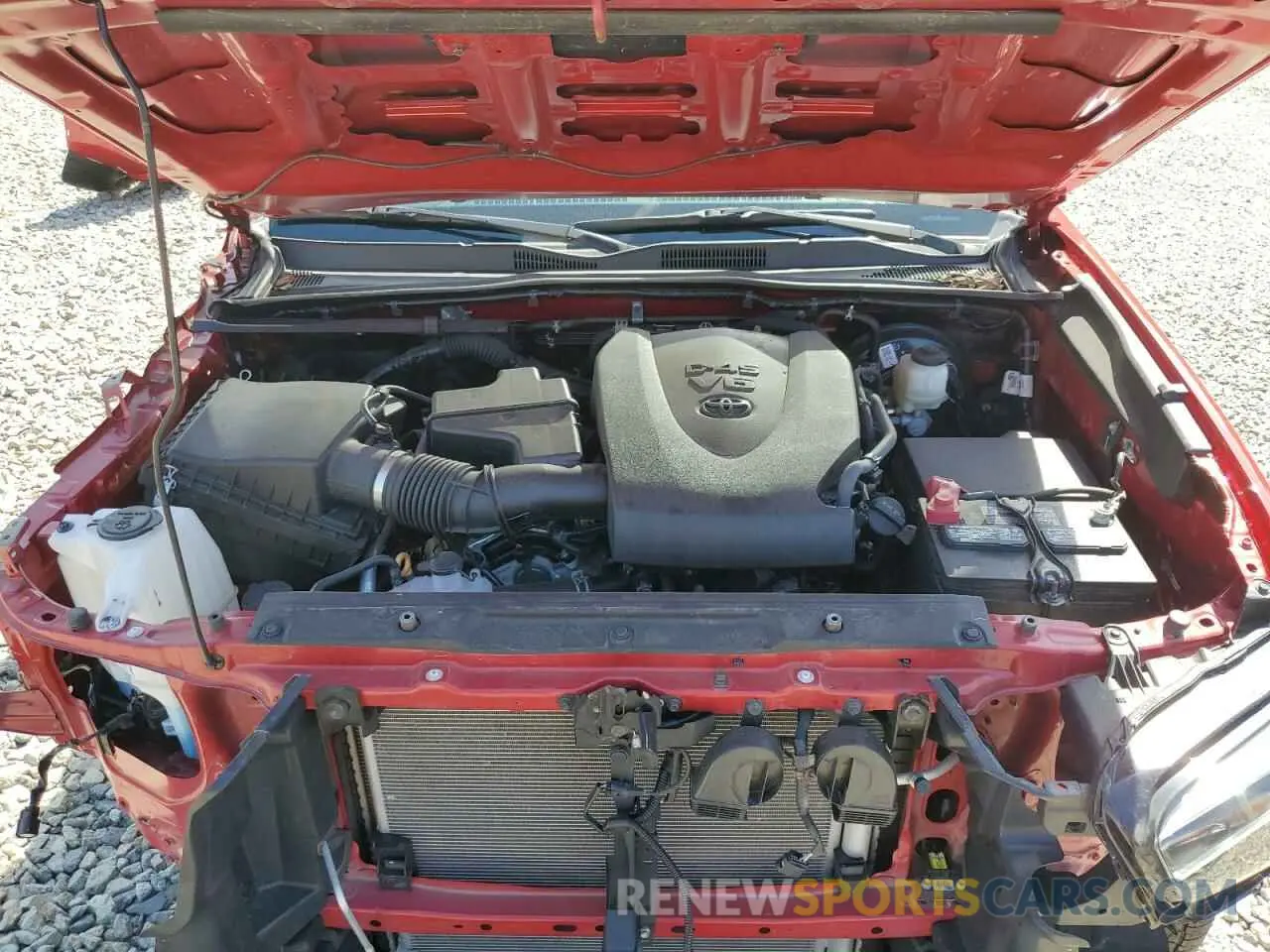 11 Photograph of a damaged car 3TMCZ5AN8MM378483 TOYOTA TACOMA 2021