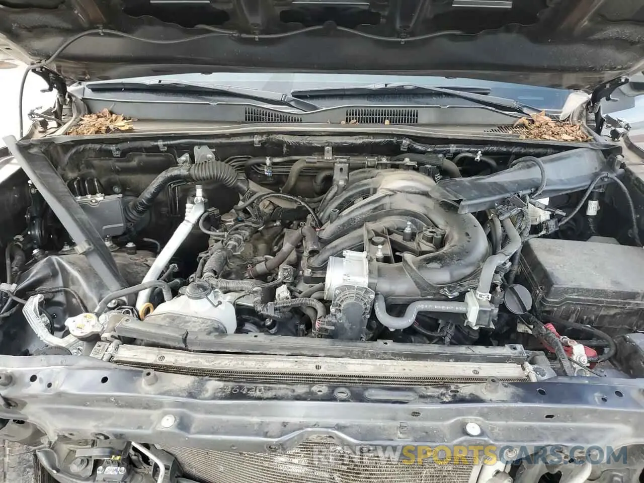 11 Photograph of a damaged car 3TMCZ5AN8MM397275 TOYOTA TACOMA 2021