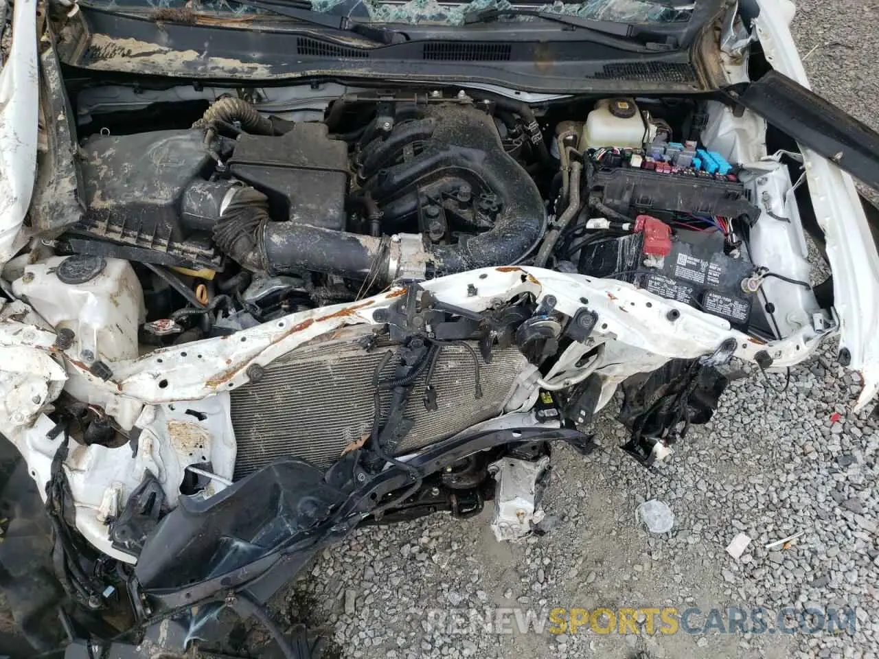 12 Photograph of a damaged car 3TMCZ5AN8MM451903 TOYOTA TACOMA 2021