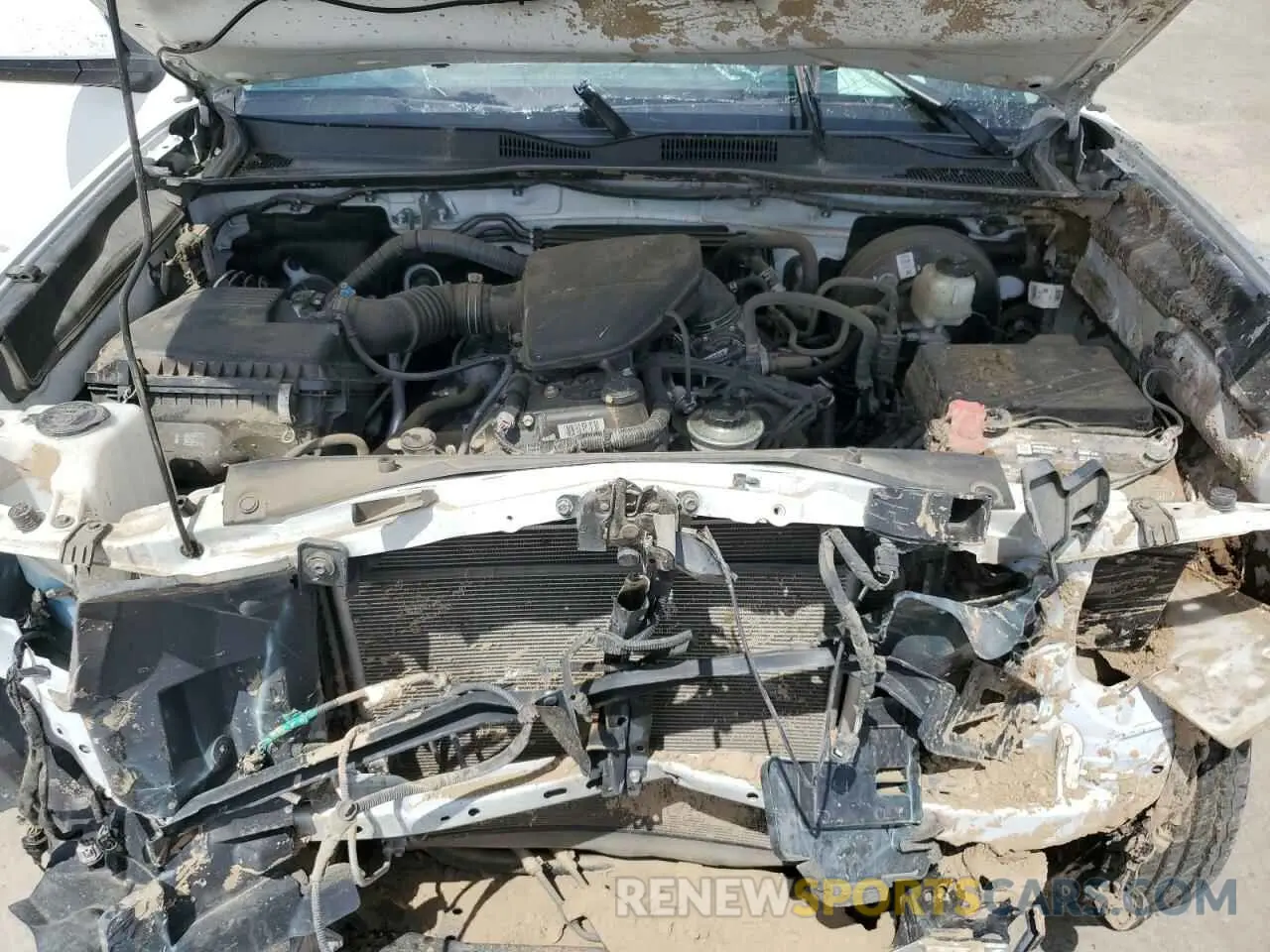 12 Photograph of a damaged car 3TYAX5GN0MT014745 TOYOTA TACOMA 2021