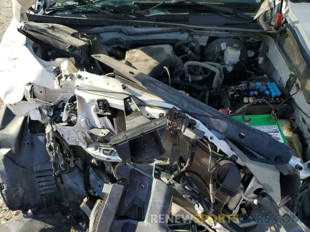 11 Photograph of a damaged car 3TYRX5GN5MT030815 TOYOTA TACOMA 2021