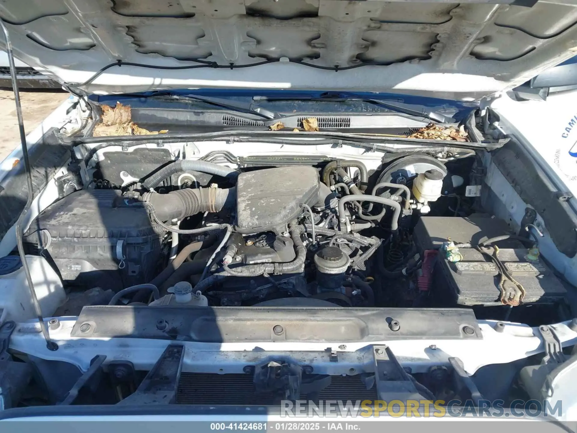 10 Photograph of a damaged car 3TYSX5EN8MT009929 TOYOTA TACOMA 2021