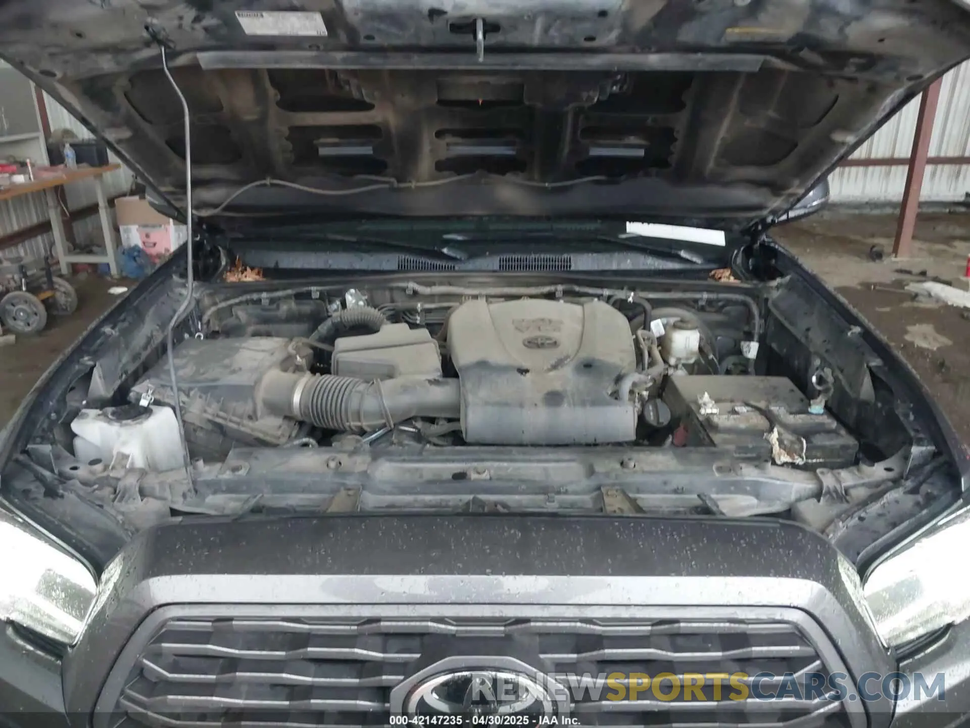 10 Photograph of a damaged car 3TMAZ5CN2NM181329 TOYOTA TACOMA 2022