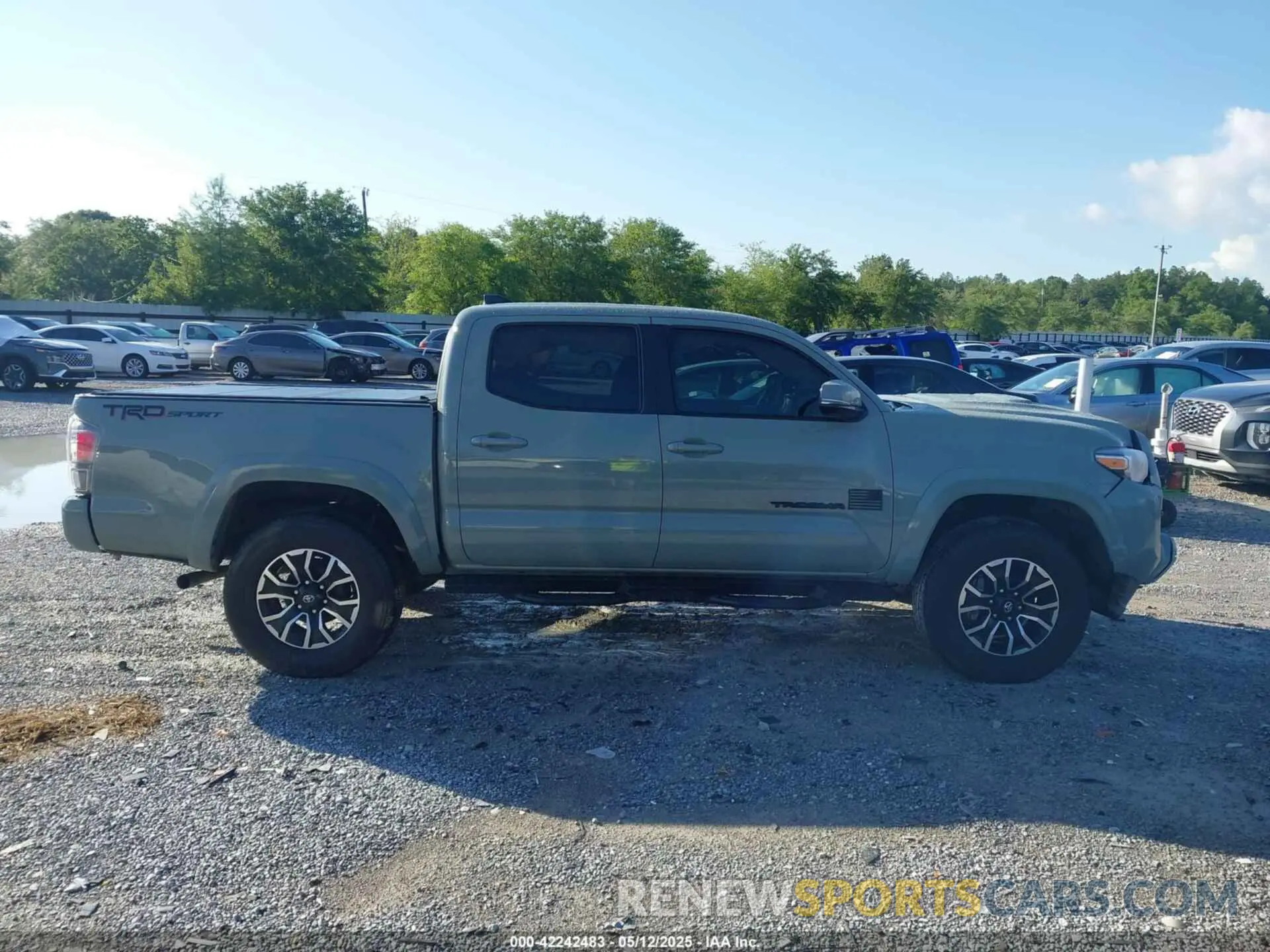 12 Photograph of a damaged car 3TMAZ5CN6NM164923 TOYOTA TACOMA 2022