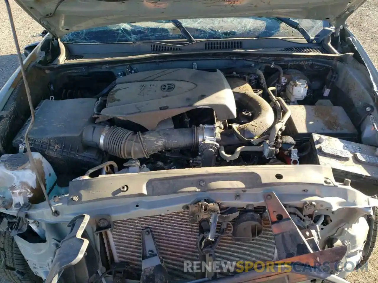 7 Photograph of a damaged car 3TMBZ5DN5NM033727 TOYOTA TACOMA 2022