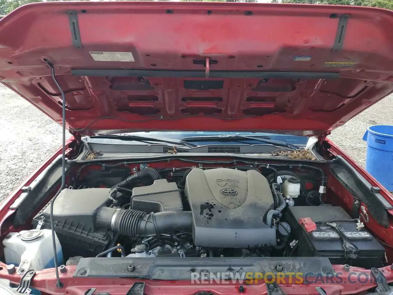 11 Photograph of a damaged car 3TMCZ5AN1NM501526 TOYOTA TACOMA 2022