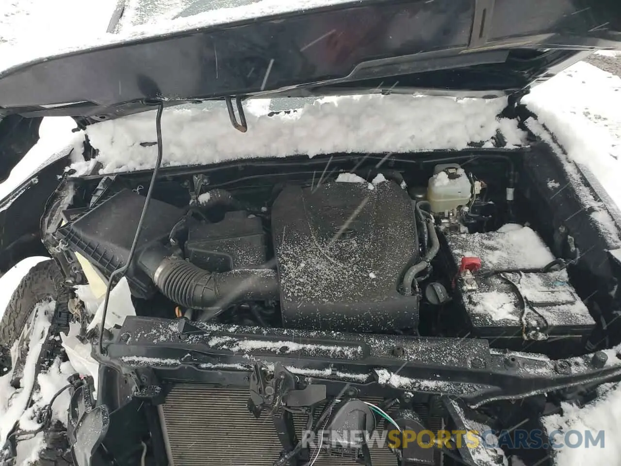 12 Photograph of a damaged car 3TMCZ5AN1NM523087 TOYOTA TACOMA 2022