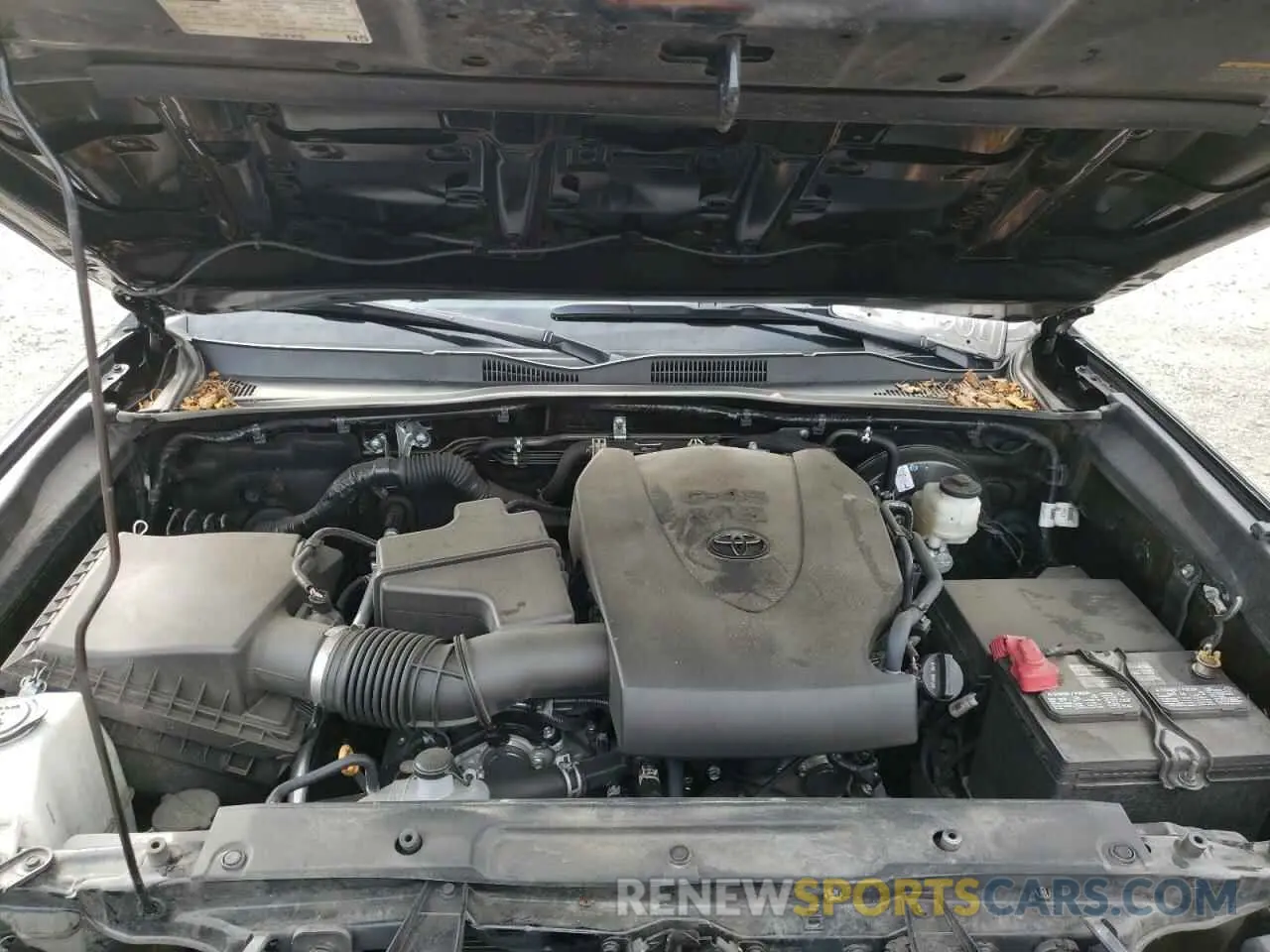 12 Photograph of a damaged car 3TMCZ5AN6NM481595 TOYOTA TACOMA 2022