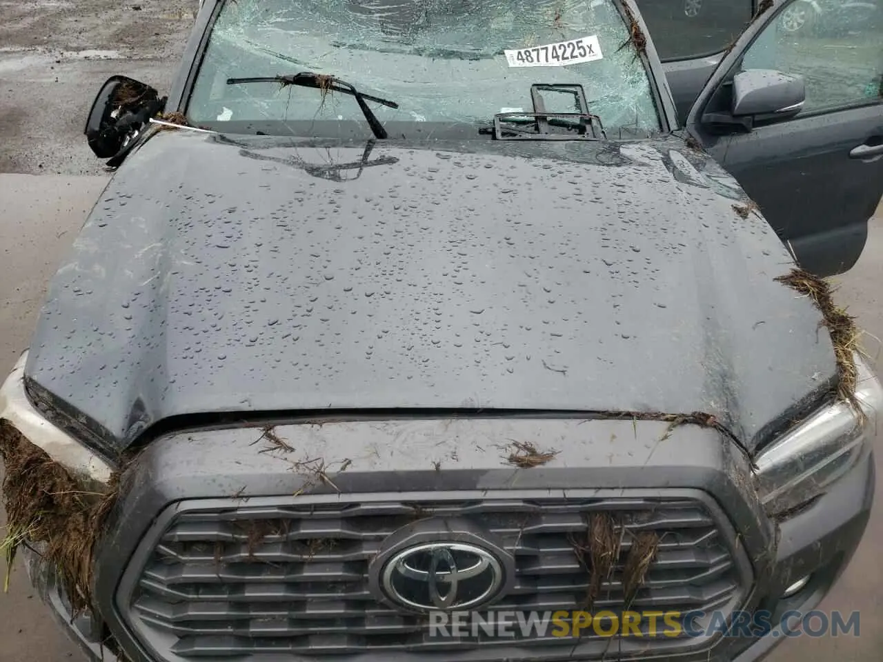 12 Photograph of a damaged car 3TMCZ5AN6NM520492 TOYOTA TACOMA 2022