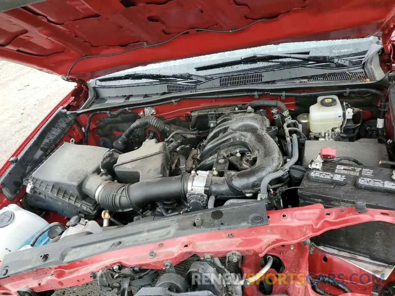 11 Photograph of a damaged car 3TMCZ5AN8NM508473 TOYOTA TACOMA 2022