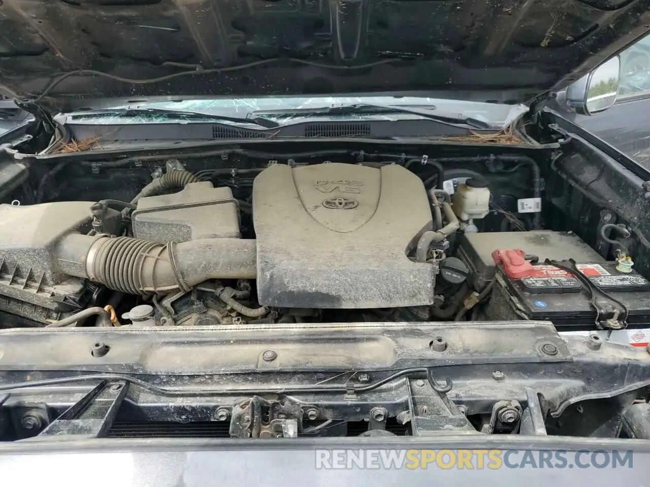 11 Photograph of a damaged car 3TMCZ5AN8NM523751 TOYOTA TACOMA 2022