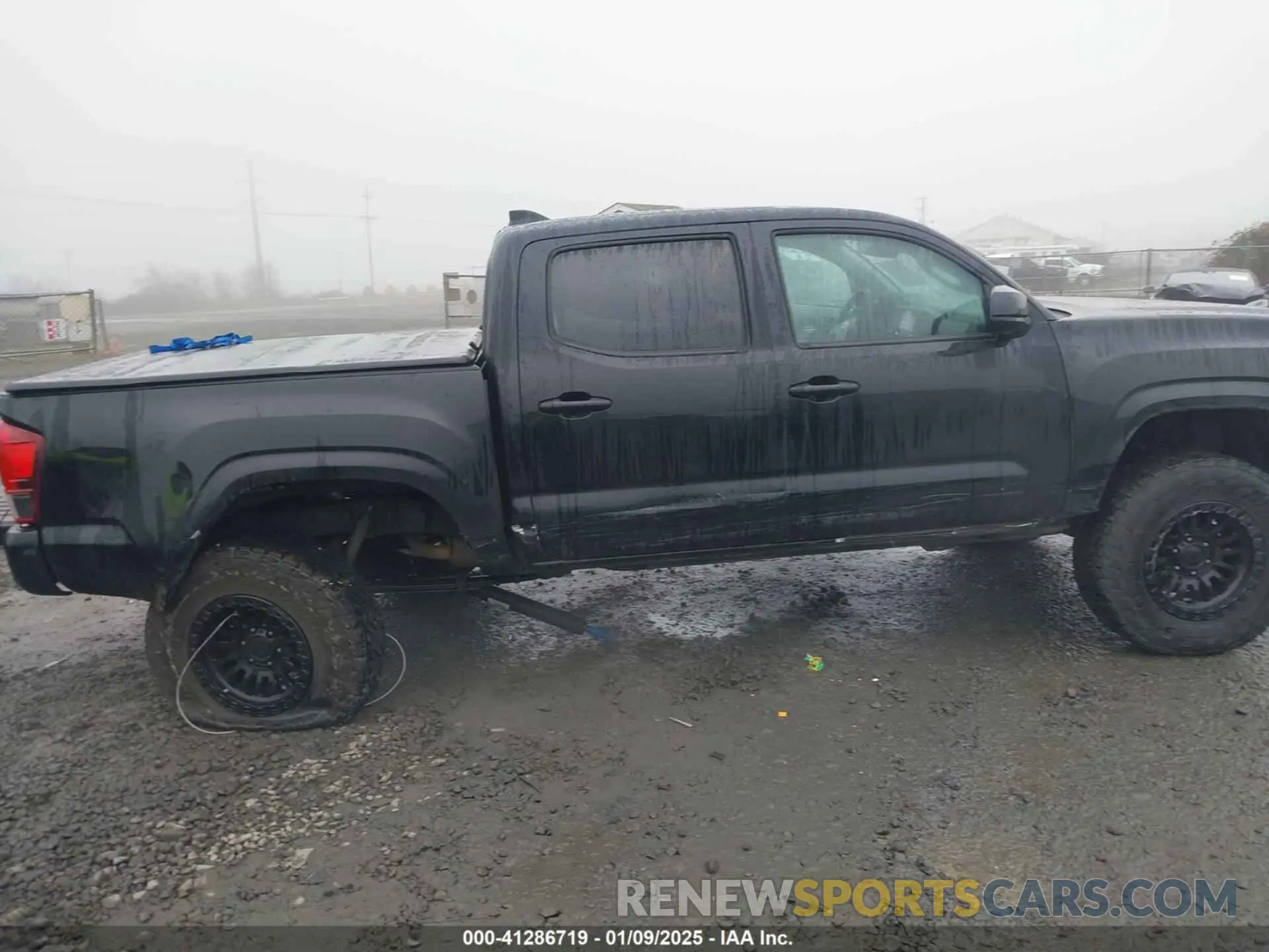 12 Photograph of a damaged car 3TMCZ5ANXNM490638 TOYOTA TACOMA 2022