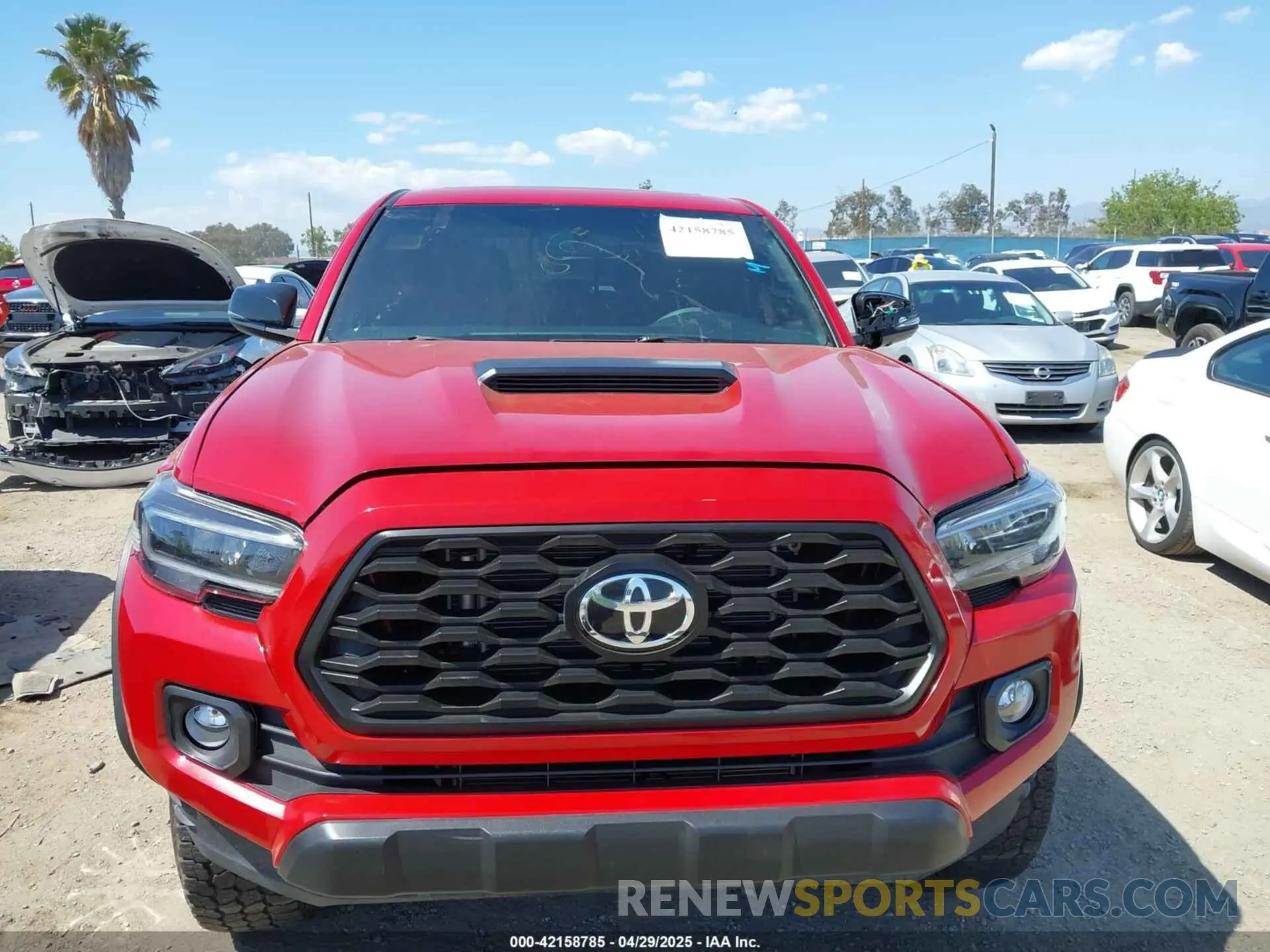 12 Photograph of a damaged car 3TMEZ5CNXNM173075 TOYOTA TACOMA 2022