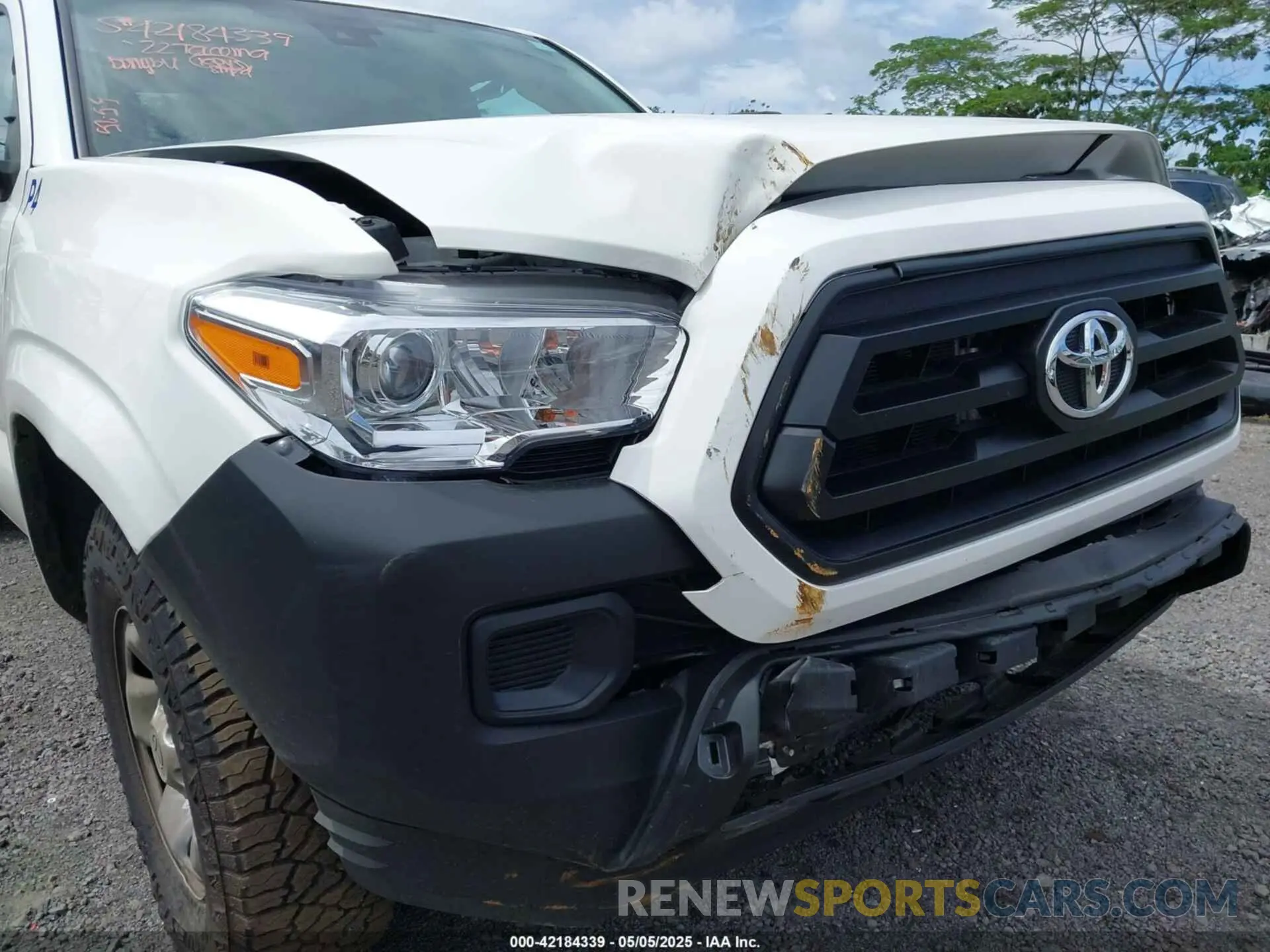 19 Photograph of a damaged car 3TYRX5GNXNT046591 TOYOTA TACOMA 2022
