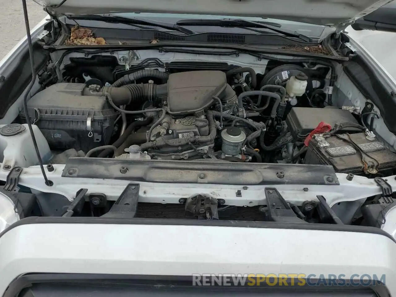 11 Photograph of a damaged car 3TYSX5ENXNT010890 TOYOTA TACOMA 2022