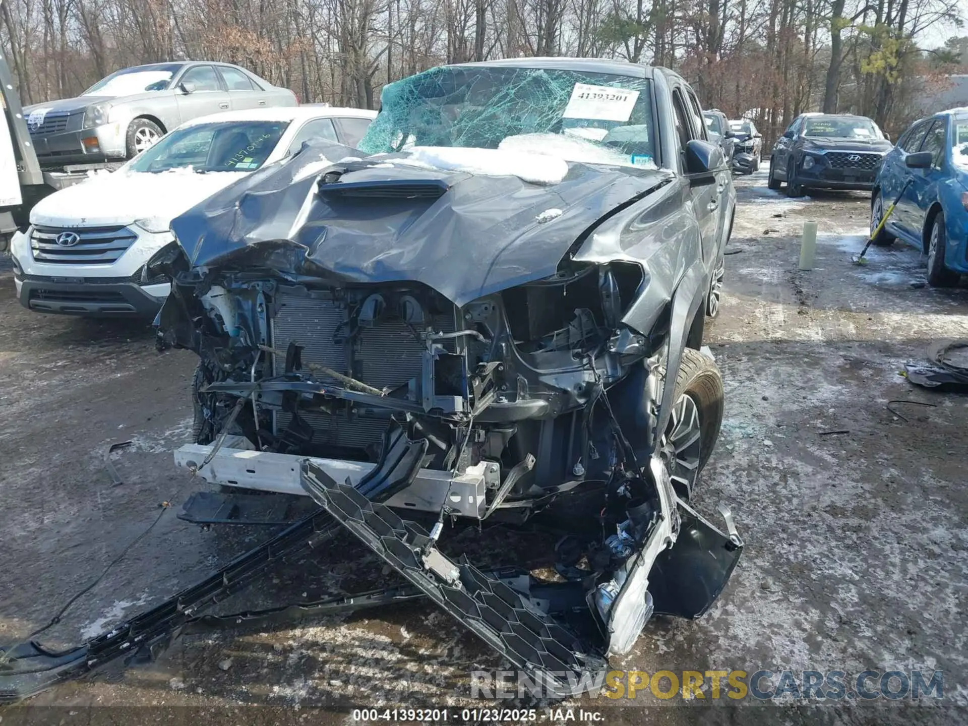 12 Photograph of a damaged car 3TMCZ5AN0PM534245 TOYOTA TACOMA 2023