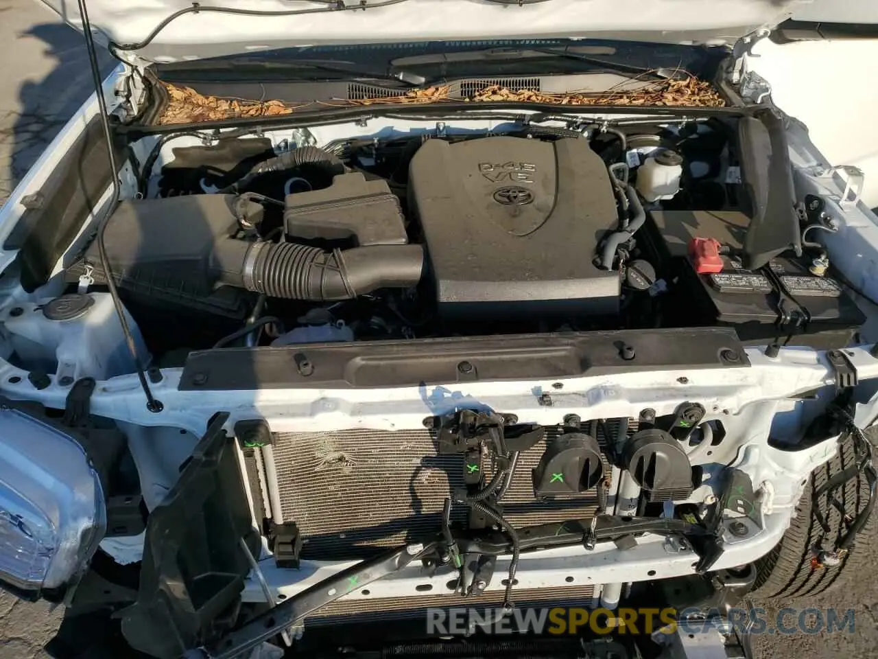 11 Photograph of a damaged car 3TMCZ5AN0PM580125 TOYOTA TACOMA 2023
