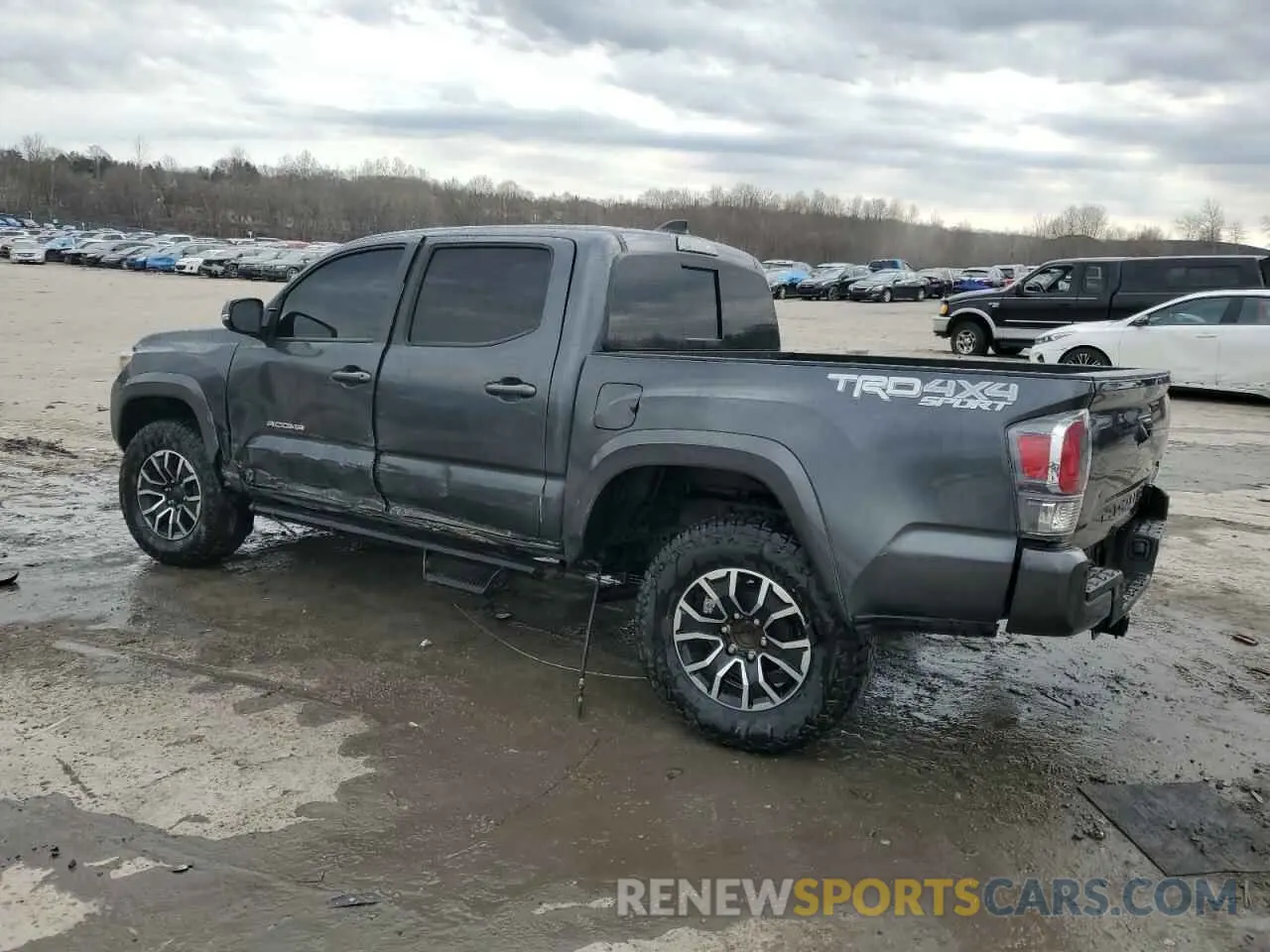 2 Photograph of a damaged car 3TMCZ5AN0PM582974 TOYOTA TACOMA 2023