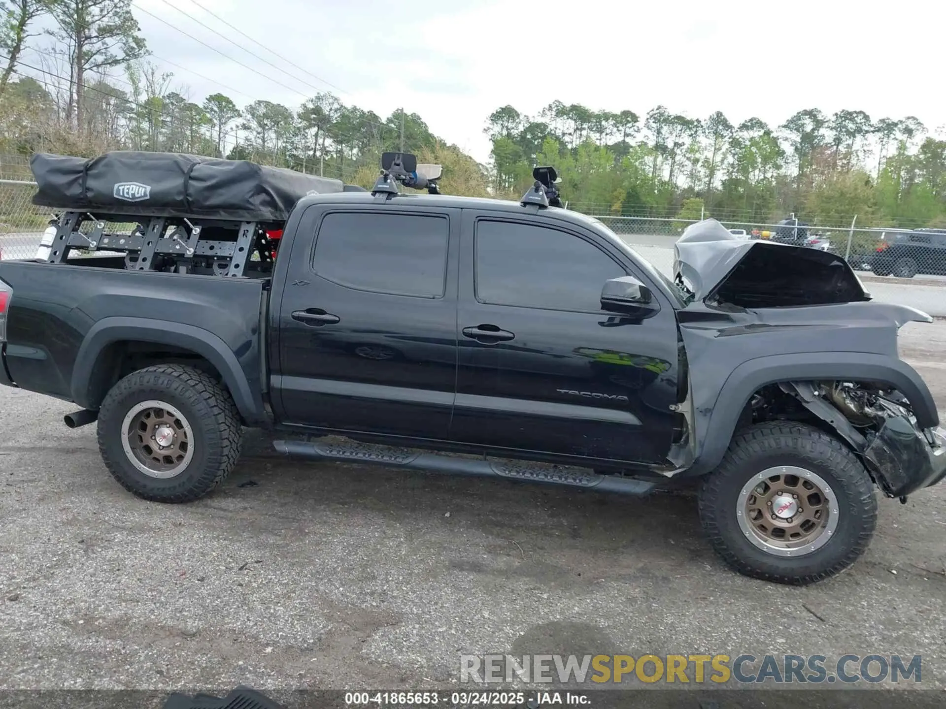 12 Photograph of a damaged car 3TMCZ5AN0PM620283 TOYOTA TACOMA 2023