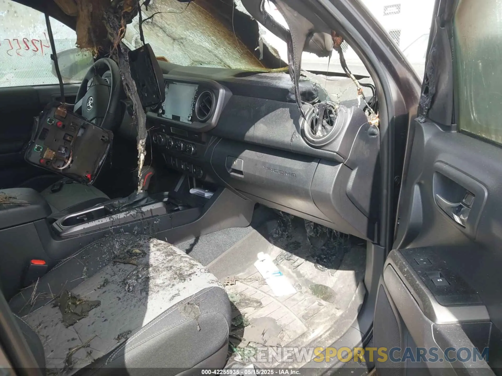 5 Photograph of a damaged car 3TMCZ5AN0PM636306 TOYOTA TACOMA 2023