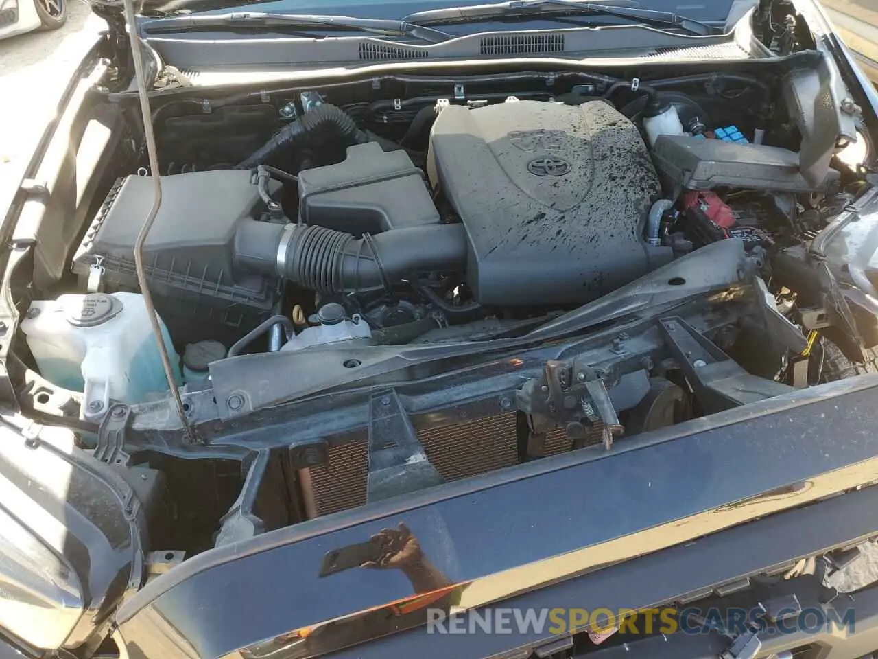 11 Photograph of a damaged car 3TMCZ5AN0PM639786 TOYOTA TACOMA 2023