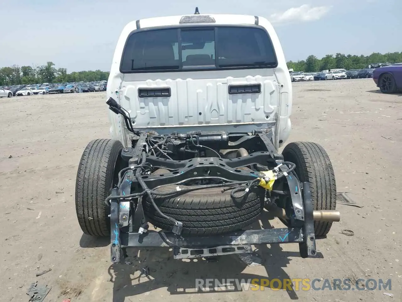 6 Photograph of a damaged car 3TMCZ5AN0PM654210 TOYOTA TACOMA 2023