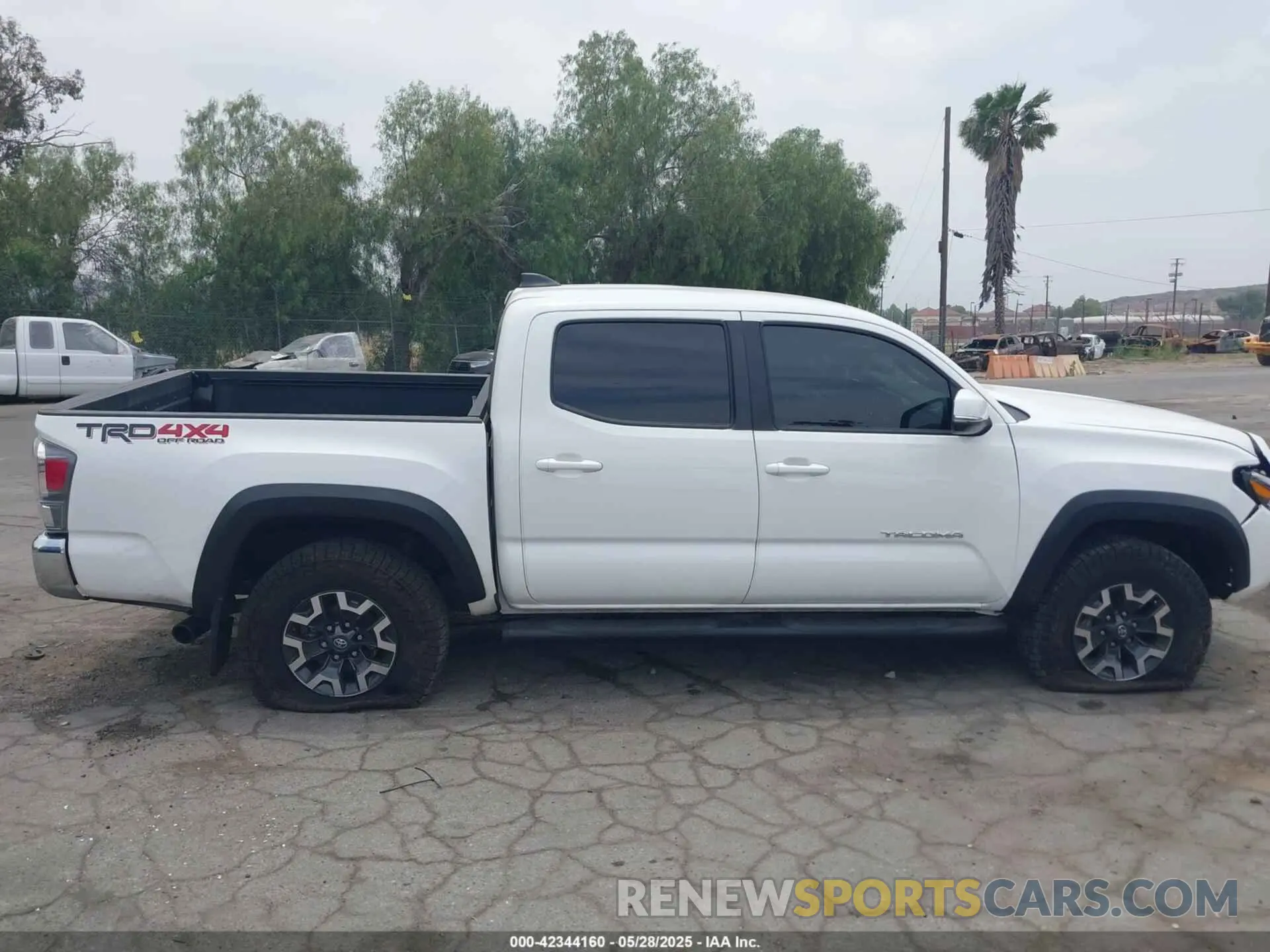 14 Photograph of a damaged car 3TMCZ5AN1PM556299 TOYOTA TACOMA 2023