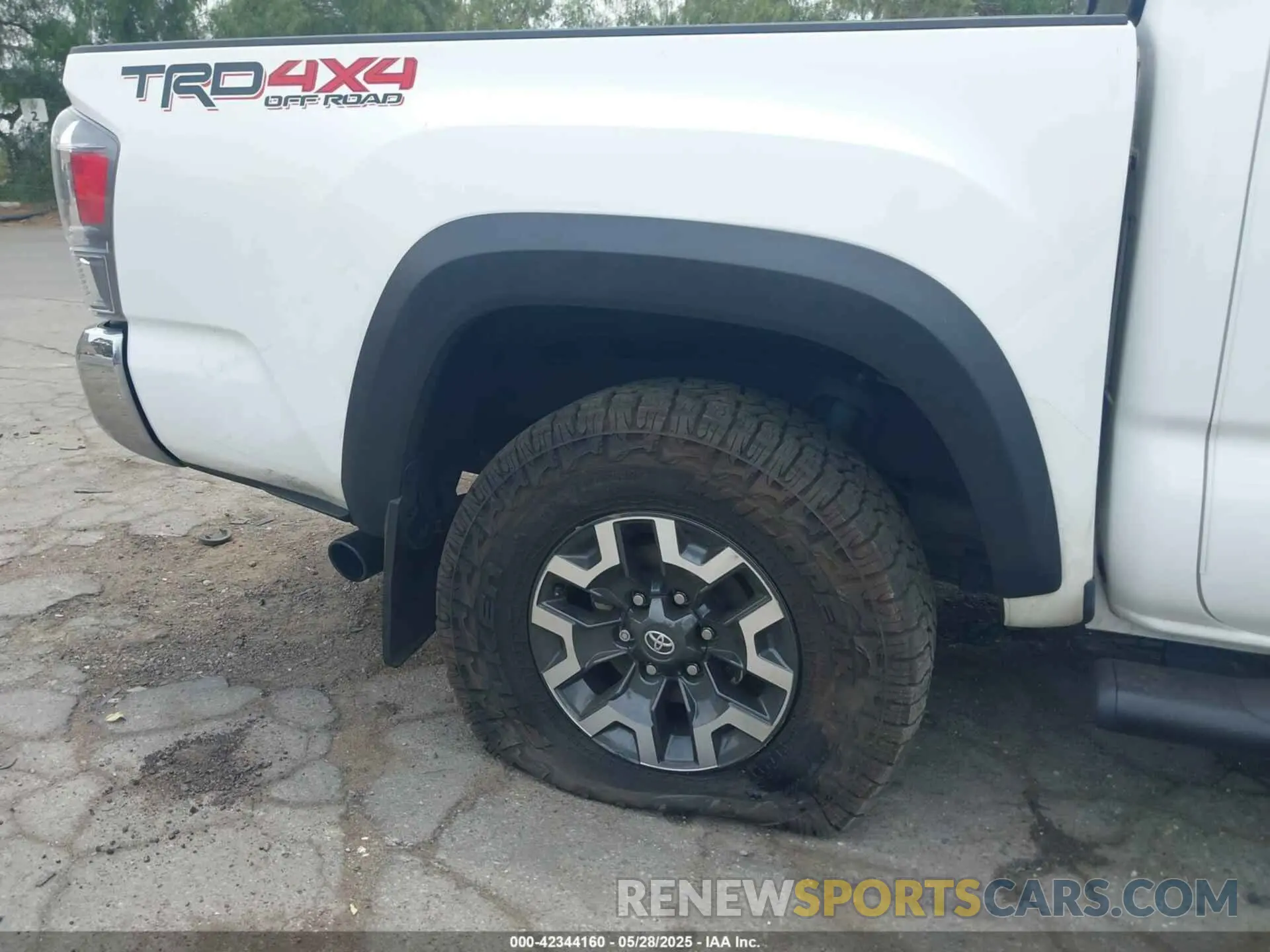 19 Photograph of a damaged car 3TMCZ5AN1PM556299 TOYOTA TACOMA 2023