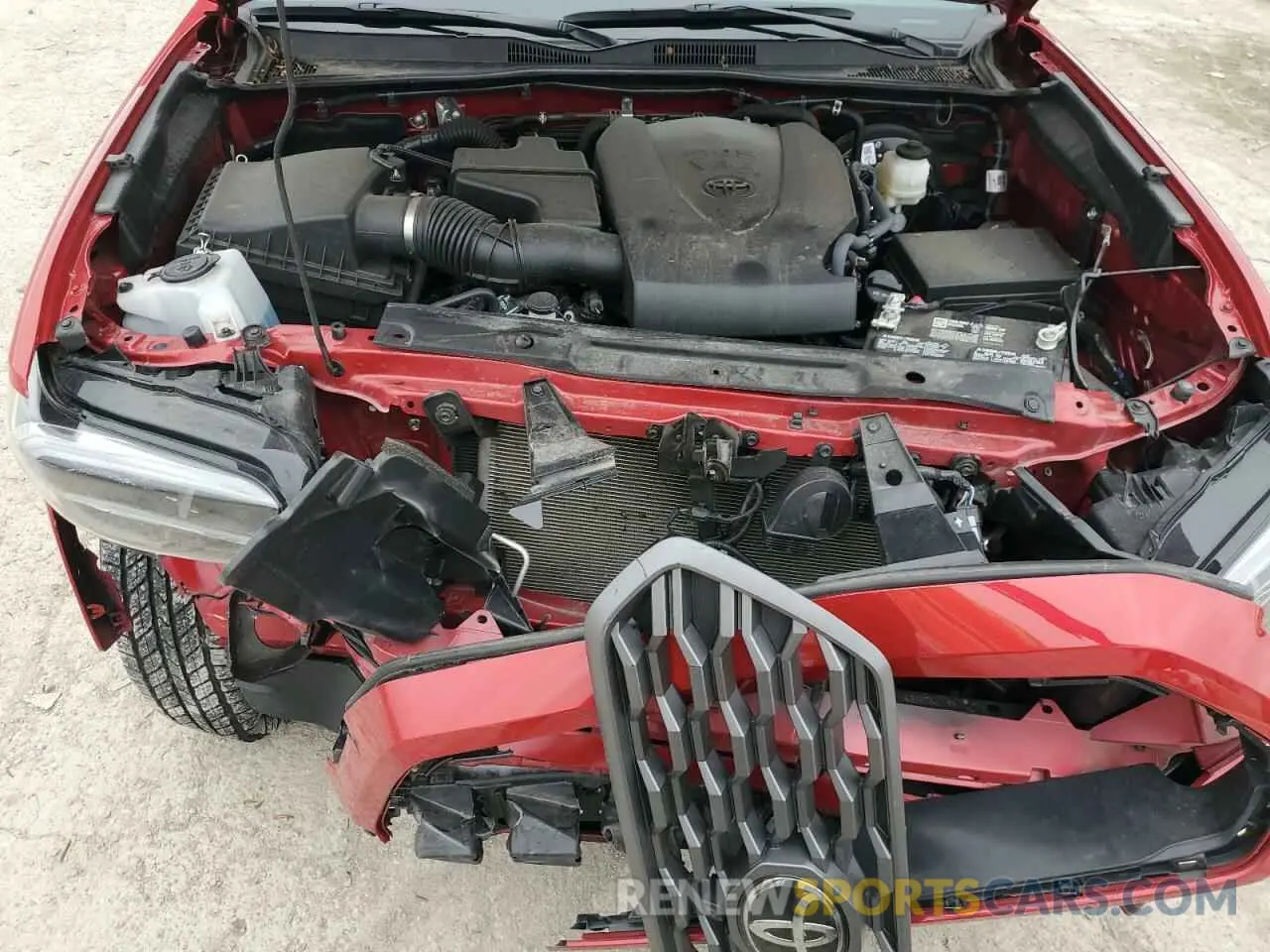 13 Photograph of a damaged car 3TMCZ5AN1PM614833 TOYOTA TACOMA 2023
