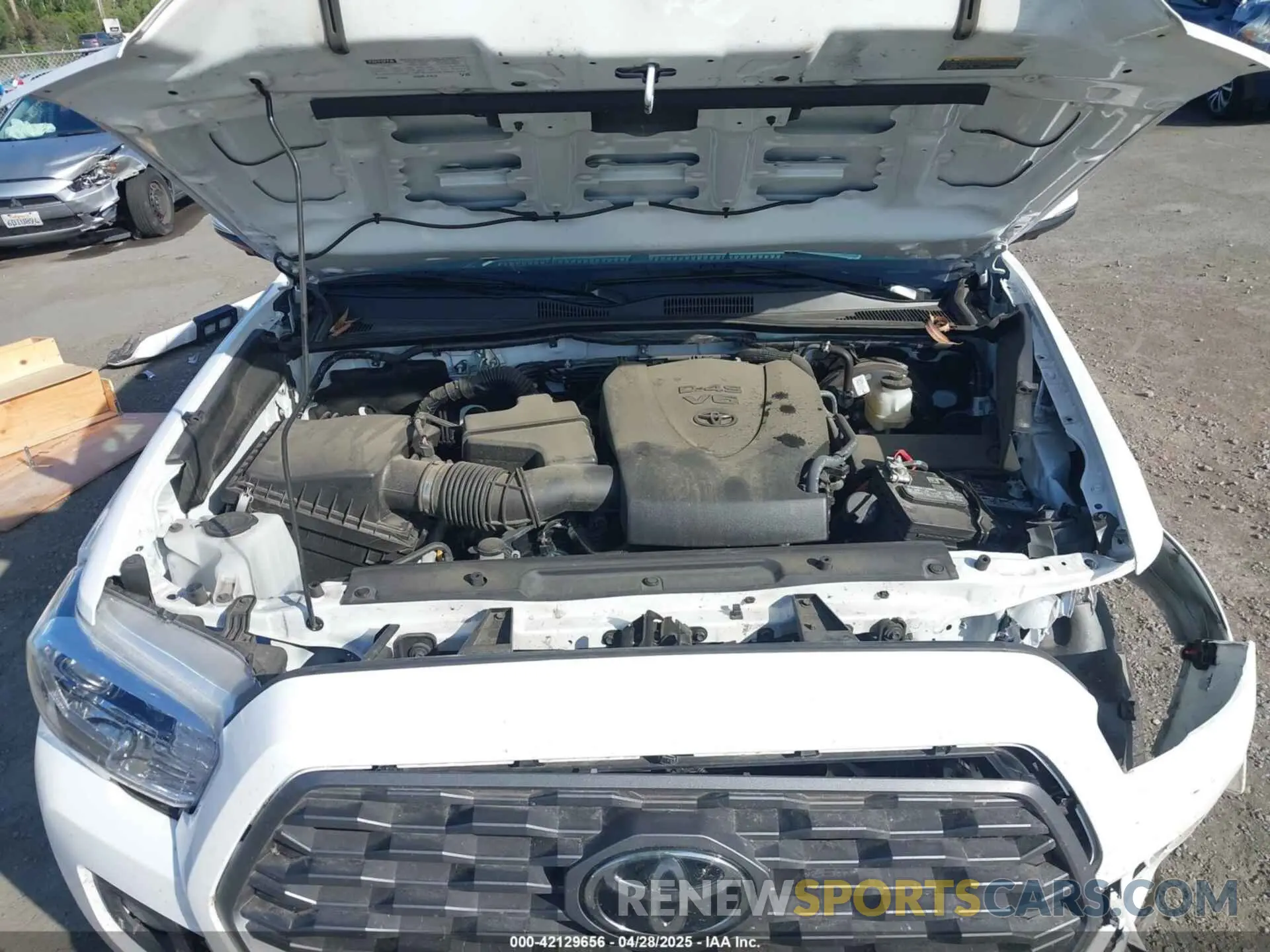 10 Photograph of a damaged car 3TMCZ5AN1PM631292 TOYOTA TACOMA 2023