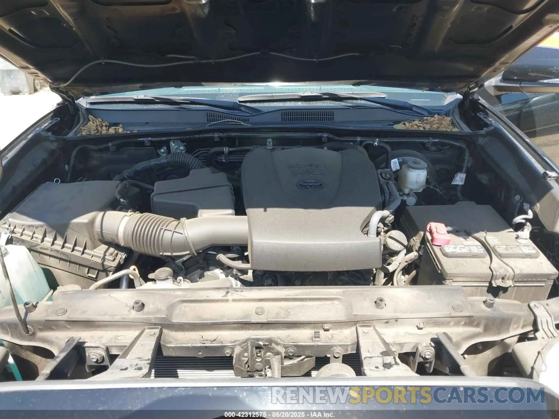 10 Photograph of a damaged car 3TMCZ5AN1PM654572 TOYOTA TACOMA 2023