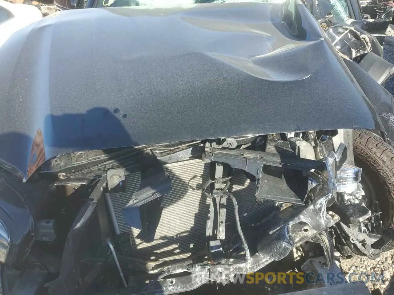 11 Photograph of a damaged car 3TMCZ5AN2PM536188 TOYOTA TACOMA 2023