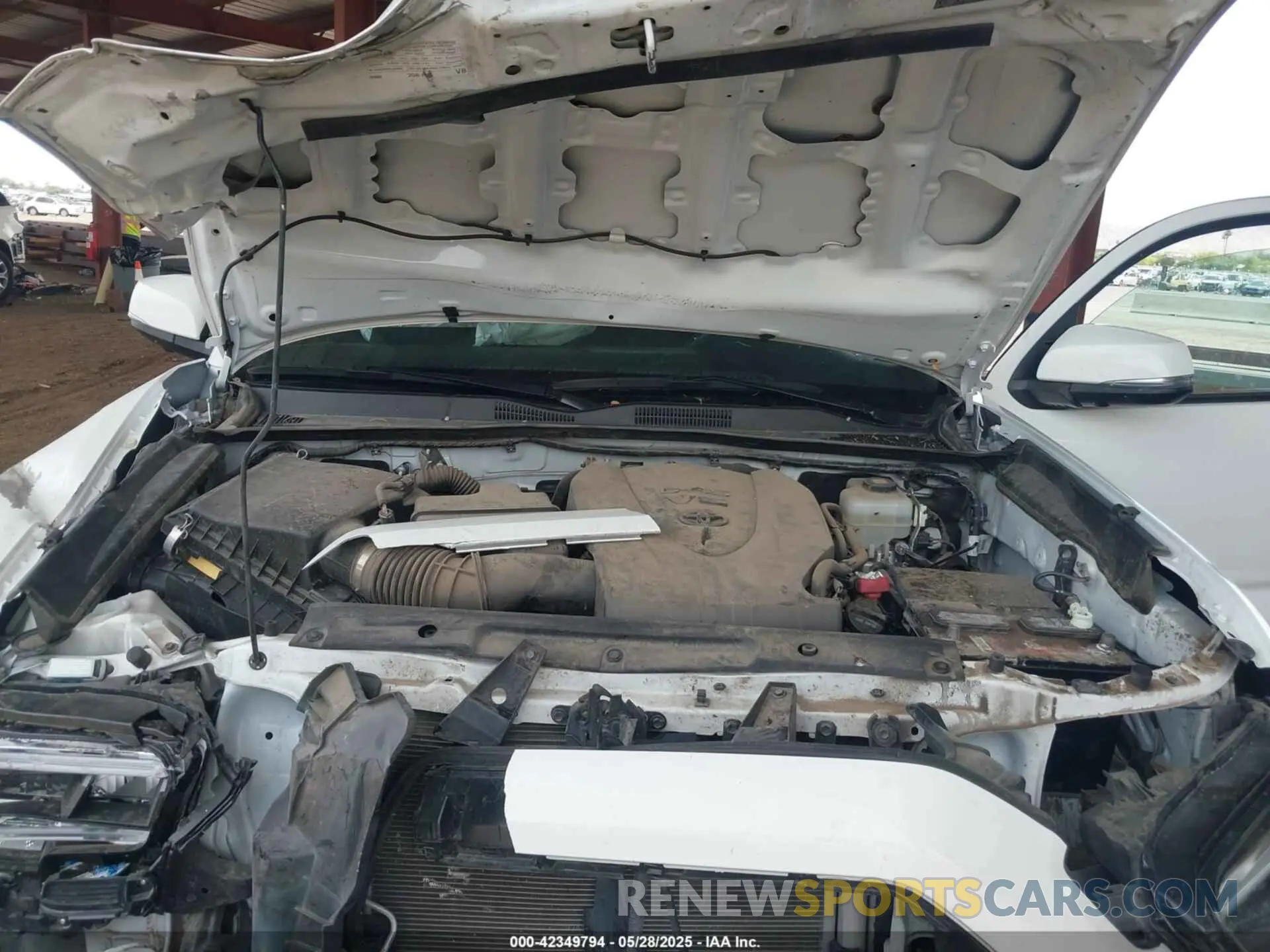 10 Photograph of a damaged car 3TMCZ5AN2PM536191 TOYOTA TACOMA 2023