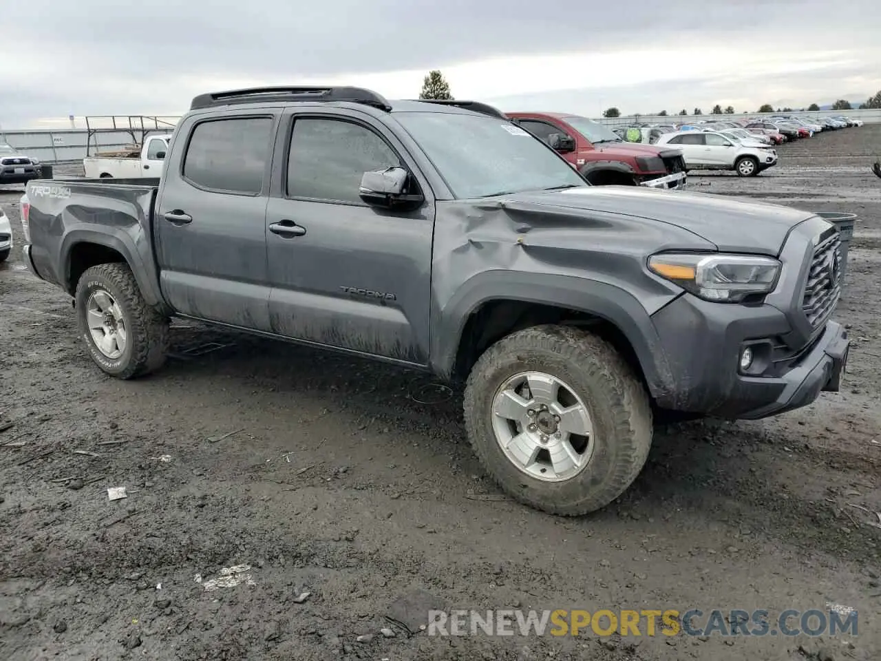 4 Photograph of a damaged car 3TMCZ5AN2PM542945 TOYOTA TACOMA 2023