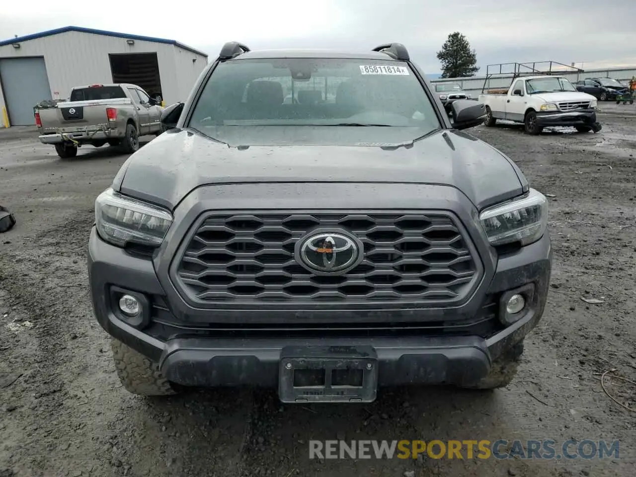 5 Photograph of a damaged car 3TMCZ5AN2PM542945 TOYOTA TACOMA 2023