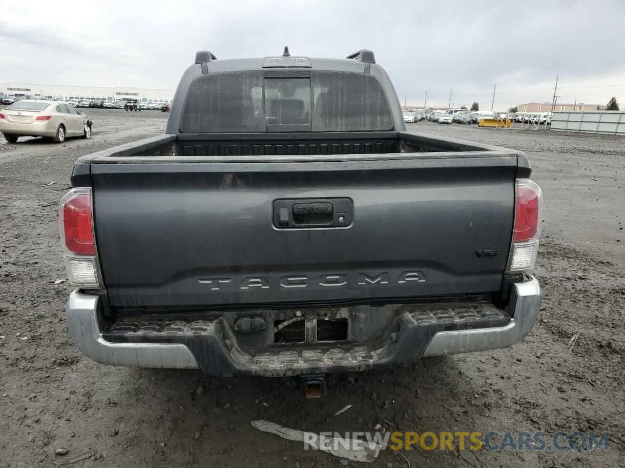 6 Photograph of a damaged car 3TMCZ5AN2PM542945 TOYOTA TACOMA 2023