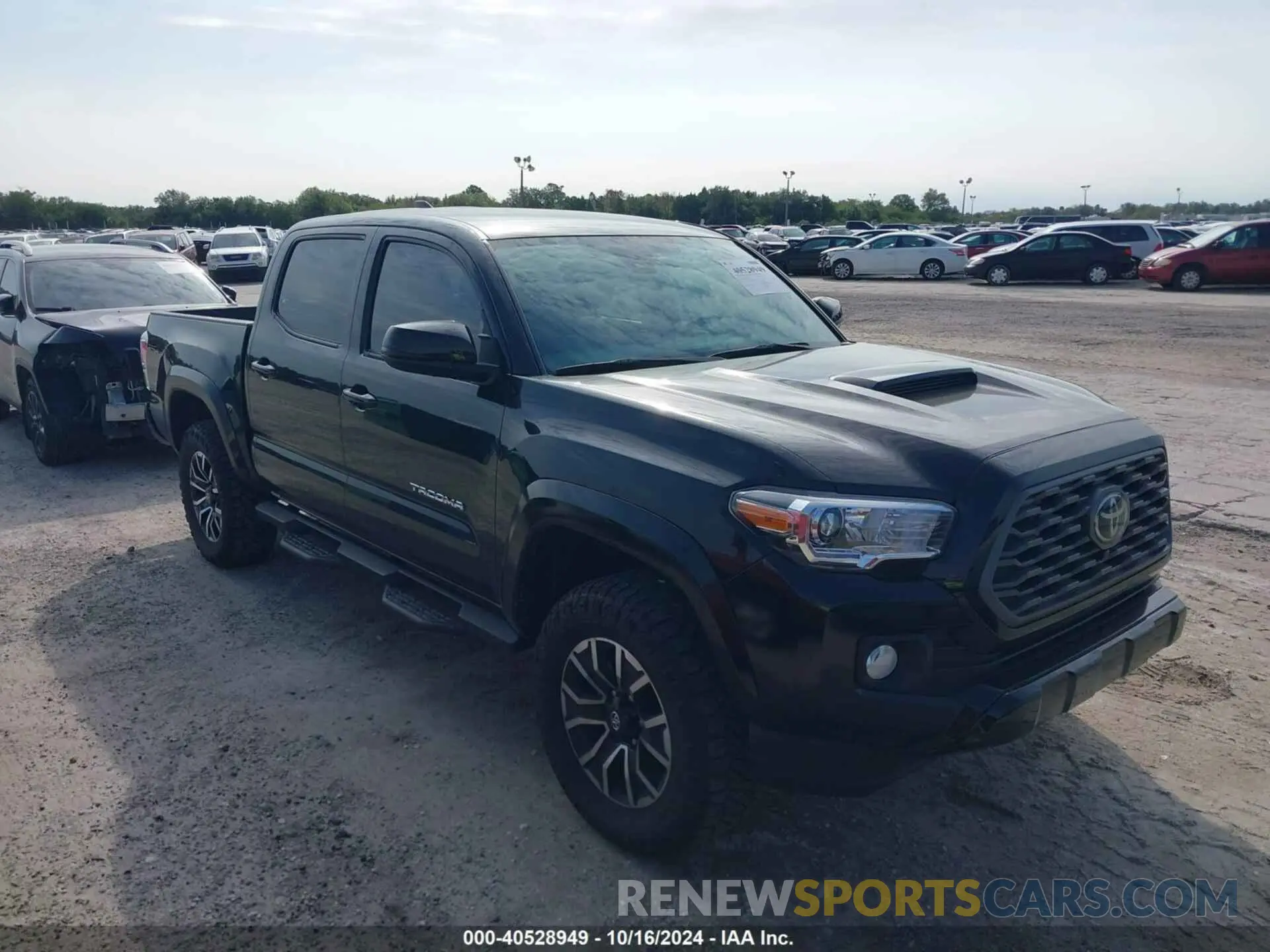 14 Photograph of a damaged car 3TMCZ5AN2PM585889 TOYOTA TACOMA 2023
