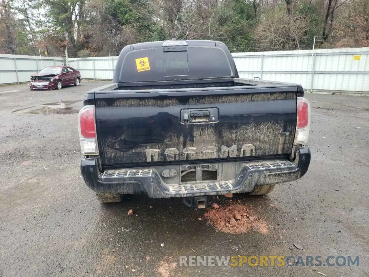 6 Photograph of a damaged car 3TMCZ5AN3PM581348 TOYOTA TACOMA 2023