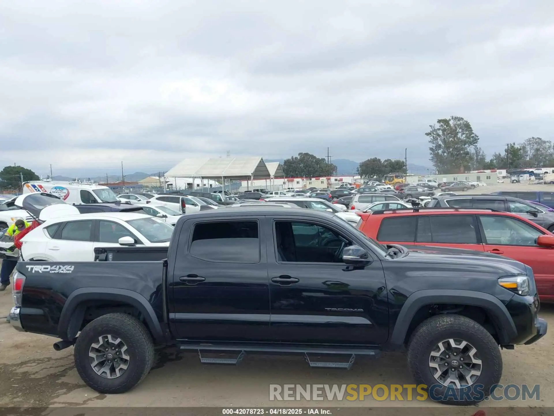 12 Photograph of a damaged car 3TMCZ5AN4PM548729 TOYOTA TACOMA 2023