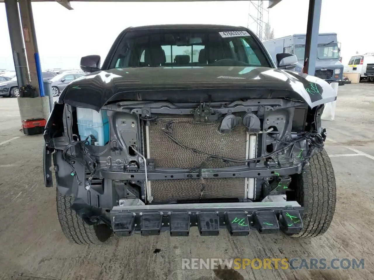 5 Photograph of a damaged car 3TMCZ5AN4PM629181 TOYOTA TACOMA 2023