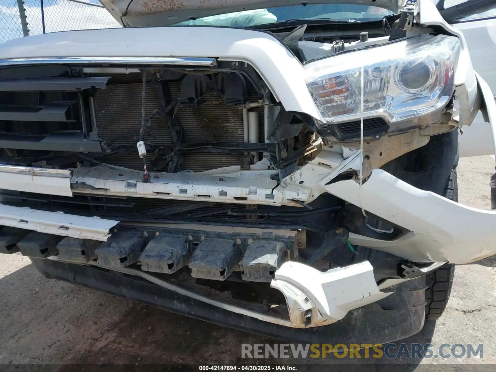 12 Photograph of a damaged car 3TMCZ5AN5PM534662 TOYOTA TACOMA 2023